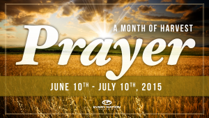 Month of Harvest Prayer for CityFest